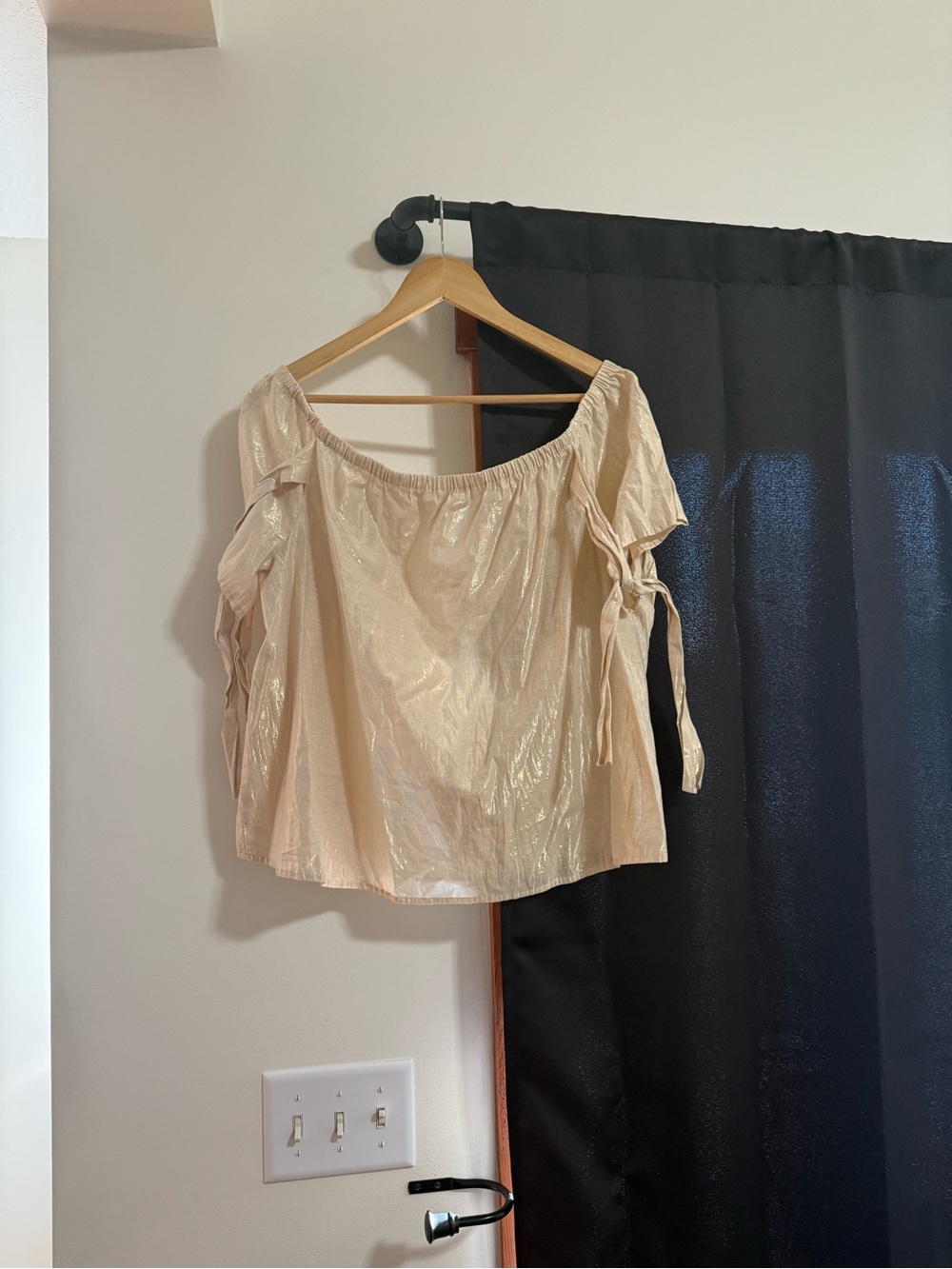 a.n.a Metallic Off-Shoulder Tie-Sleeve Blouse in Light Beige